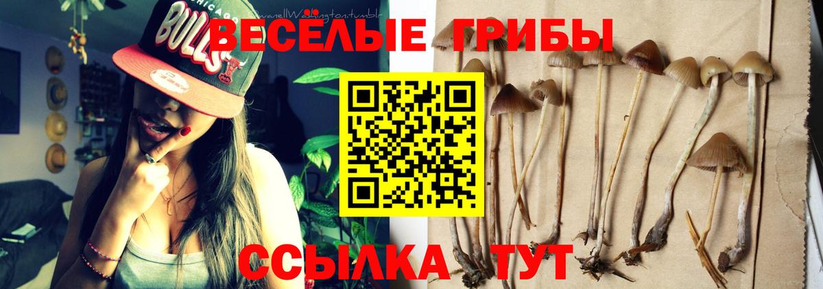 Галлюциногенные грибы GOLDEN TEACHER  Вход с VPN  Лосино-Петровский 