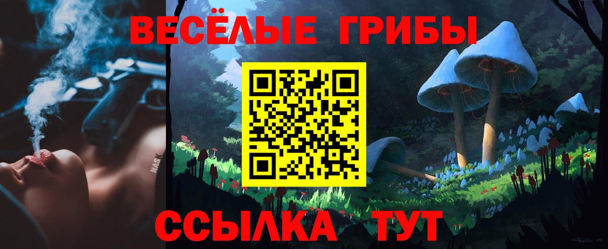 Галлюциногенные грибы Psilocybe Лосино-Петровский